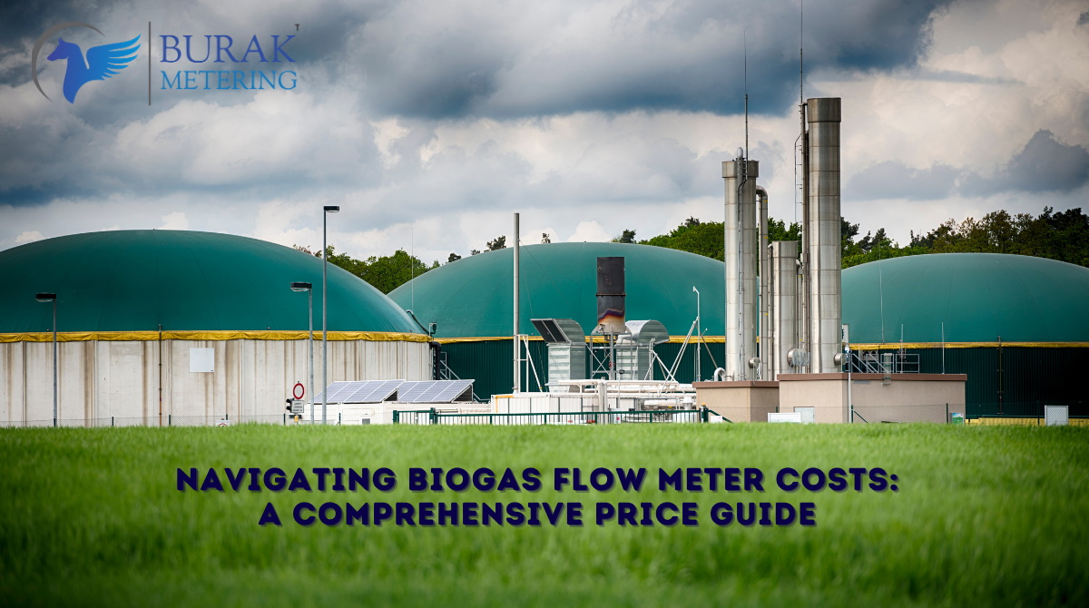 Navigating Biogas Flow Meter Costs A Comprehensive Price Guide